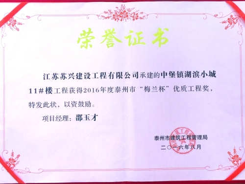 中堡鎮(zhèn)湖濱小城11#樓